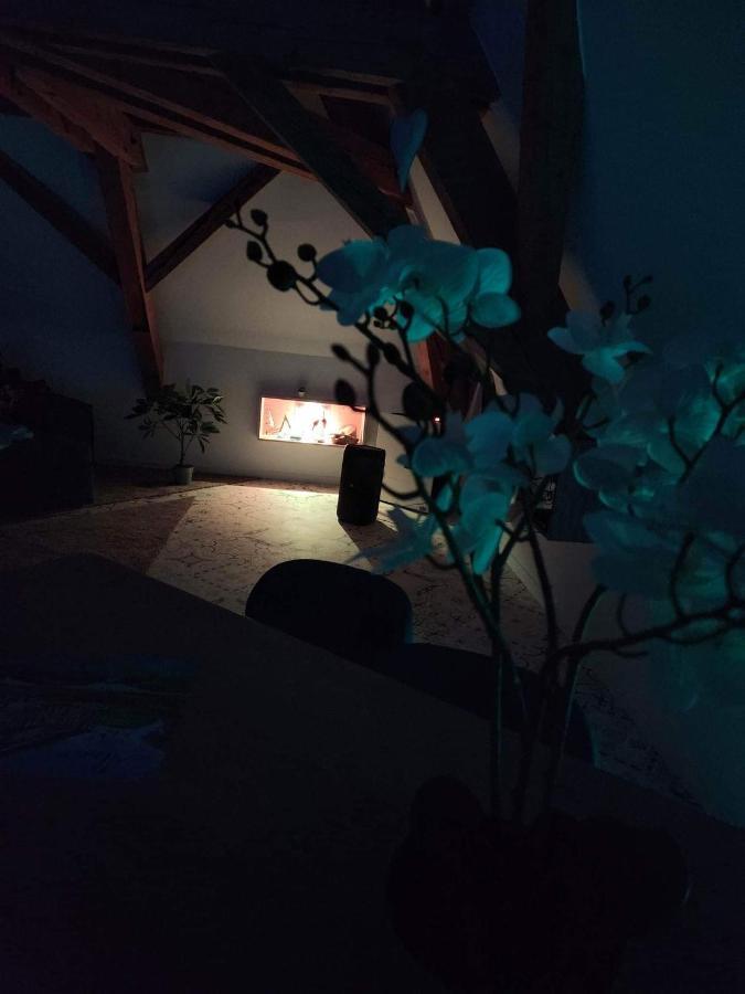 Ferienwohnung Nid De Cigogne Illhaeusern Exterior foto